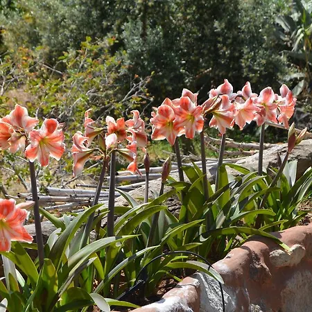 Country house Casas De La Rueda - La Casita
